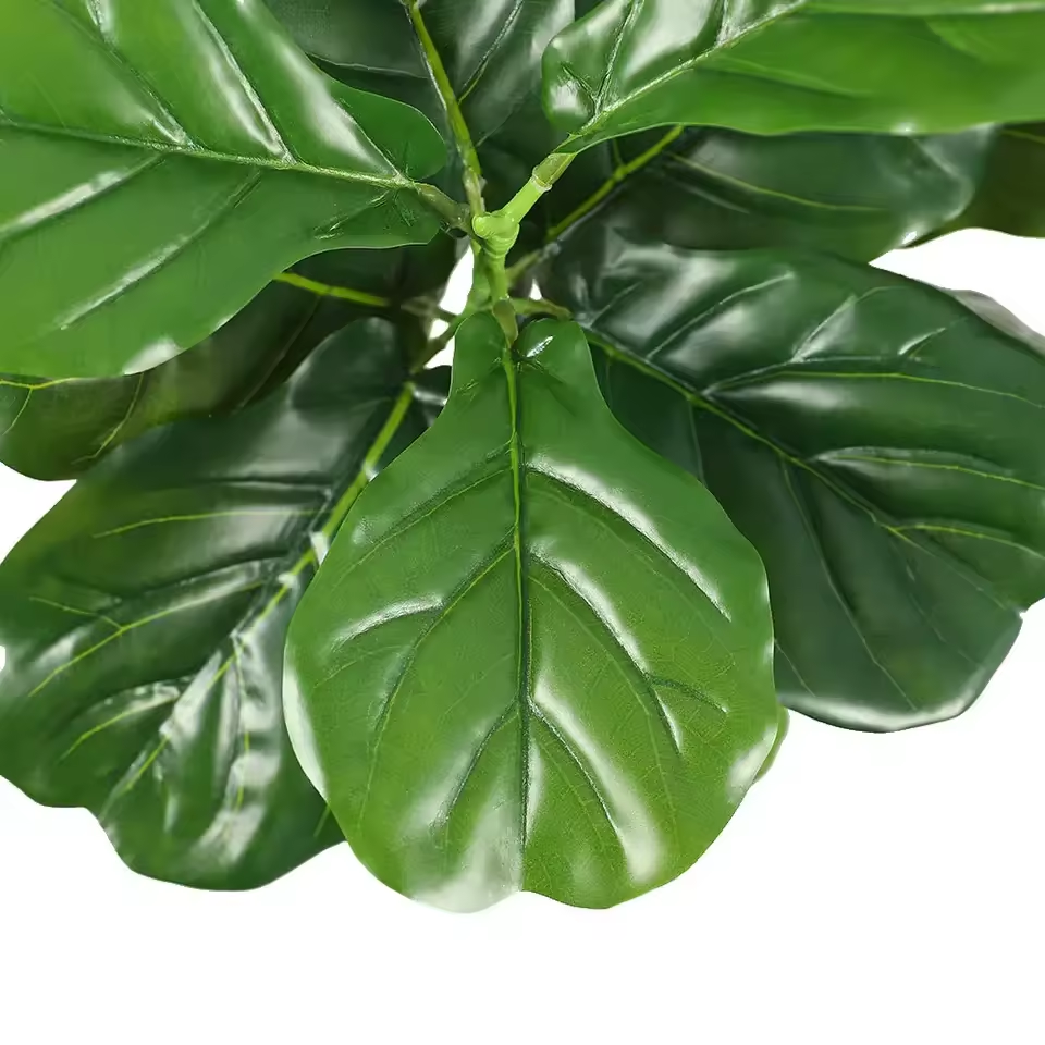 仿真植物实物图