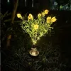 Solar-powered gardenia flower simulation lanterns, LED courtyard garden decoration, lawn lantern grass, outdoor waterproof atmosphere lights Application Scenario