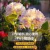Solar outdoor lights, courtyard decorative lights, hydrangea lights, outdoor garden atmosphere lights, waterproof smoke lanterns, villa decoration details Picture