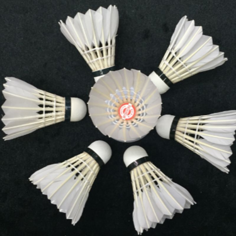 羽毛球拍、网球拍实物图