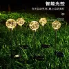 Solar copper wire spherical ground insert light, garden and courtyard decorative landscape ground insert light, outdoor luminous spherical reed light details Picture