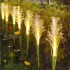 Cross-border outdoor solar optical fiber reed ground insertion simulation reed landscape courtyard decorative lights and reed lighting lights details Picture