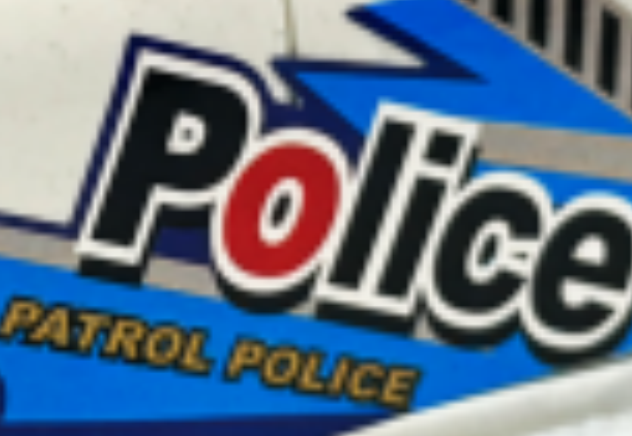 Painted pickup truck inertial police car with red and blue mixed P cover Application Scenario