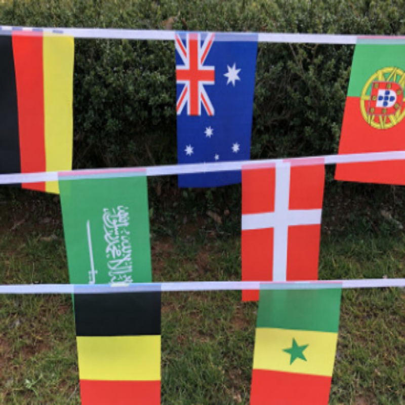 俄罗斯世界杯国旗串旗14x21cm8号32强1