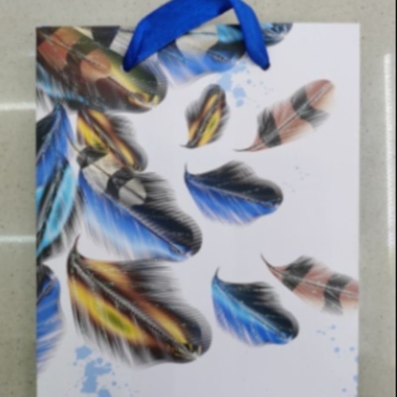 厂家直销中国风羽毛礼品纸袋包装2