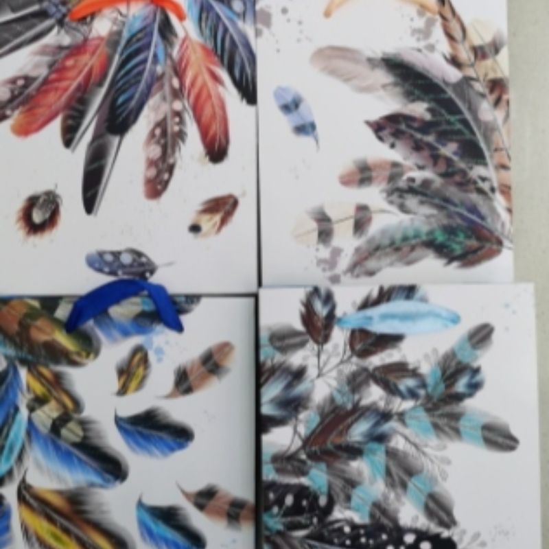 厂家直销中国风羽毛礼品纸袋包装2详情1