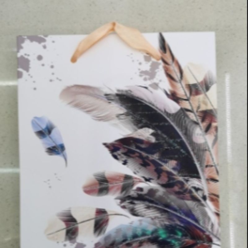 厂家直销中国风羽毛礼品纸袋包装3