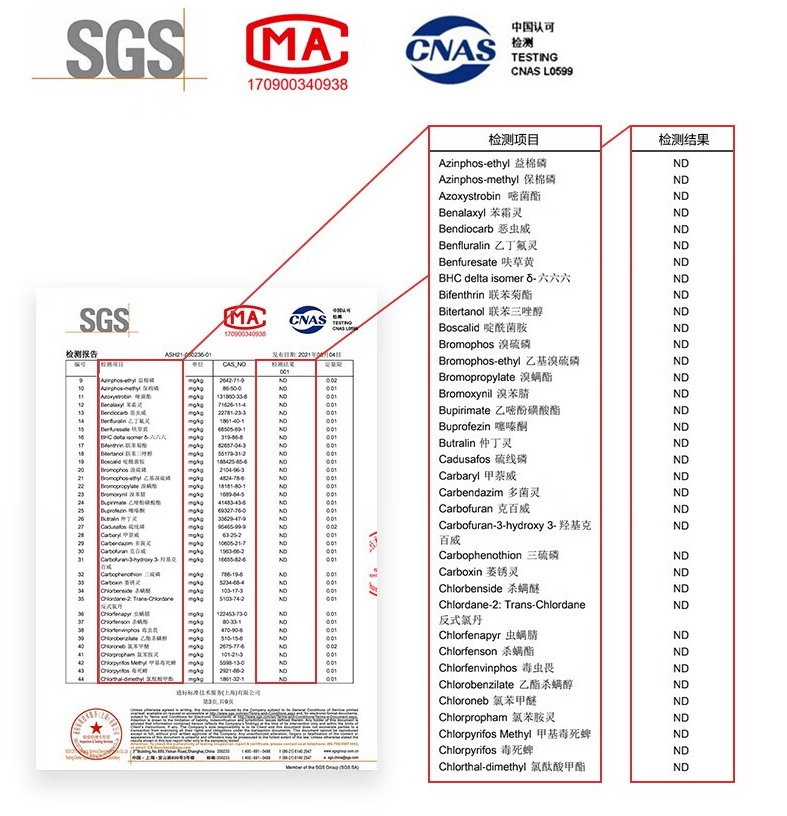 批发包邮！玫柏翠婴童辅食休闲零食手办 光合星球水蜜桃溶豆18克详情8