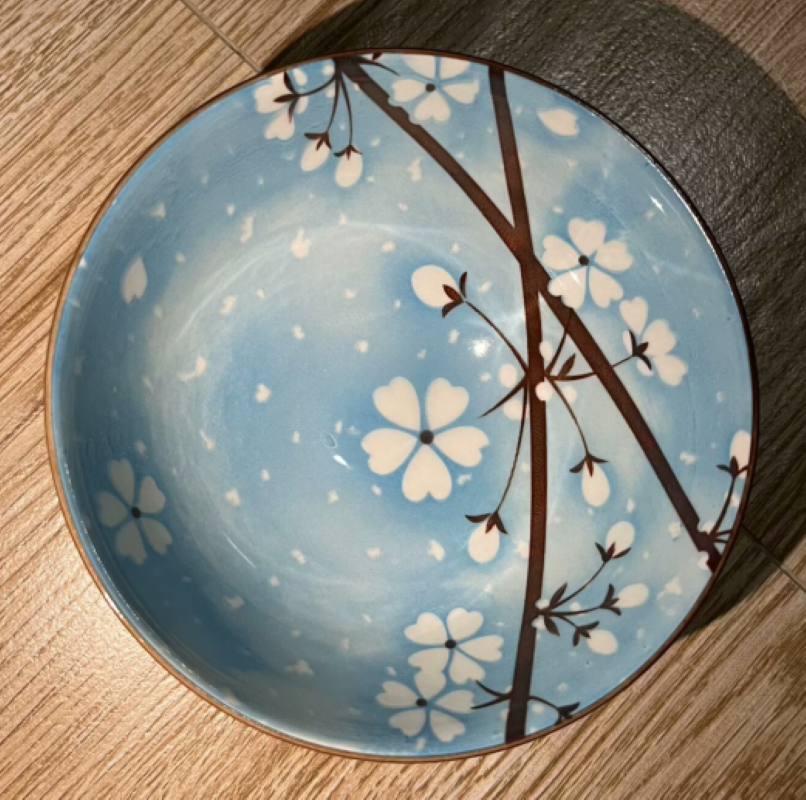Ceramic disc FS0014