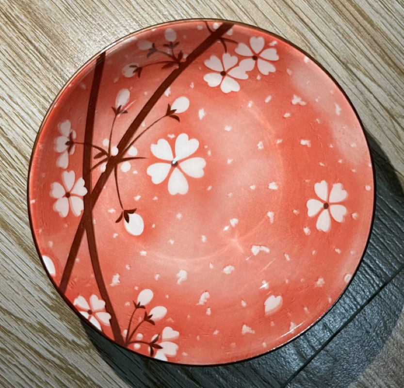 Ceramic disc FS0013