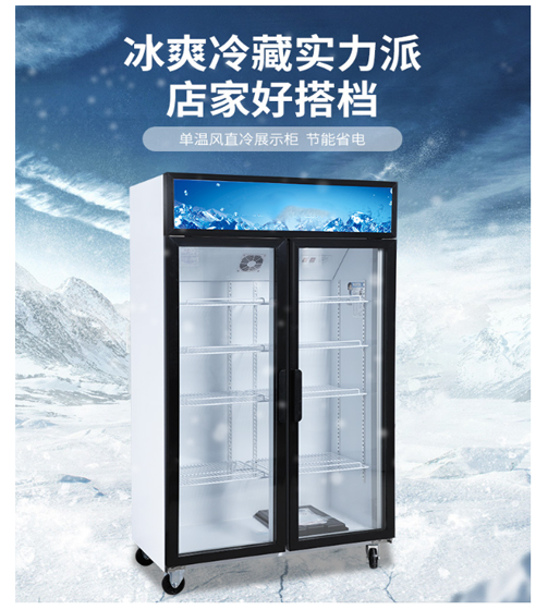 现货冰柜冷藏展示柜商用饮料柜冰箱保鲜柜立式冷柜源头工厂详情6