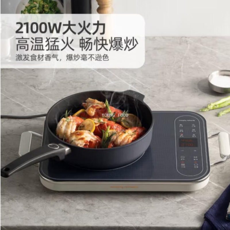 批发包邮 YOUNGFOOD智能小家电电磁炉MR8900家用小型多功能电磁灶