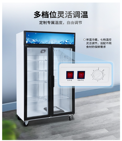 现货冰柜冷藏展示柜商用饮料柜冰箱保鲜柜立式冷柜源头工厂详情14