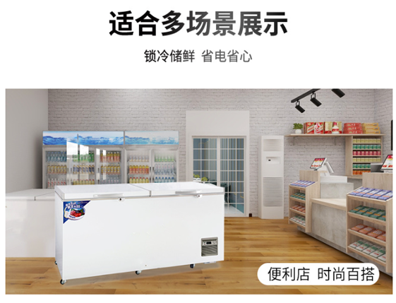 Commercial large-capacity freezer, single-temperature freezer for switching between freezing and refrigeration, factory Suiling Freezer pic 12