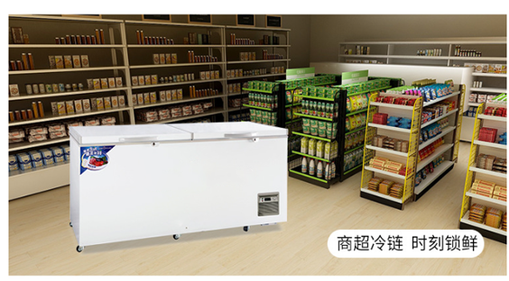 Commercial large-capacity freezer, single-temperature freezer for switching between freezing and refrigeration, factory Suiling Freezer pic 9