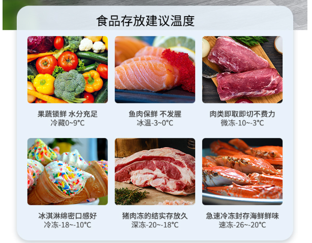 Commercial large-capacity freezer, single-temperature freezer for switching between freezing and refrigeration, factory Suiling Freezer pic 15