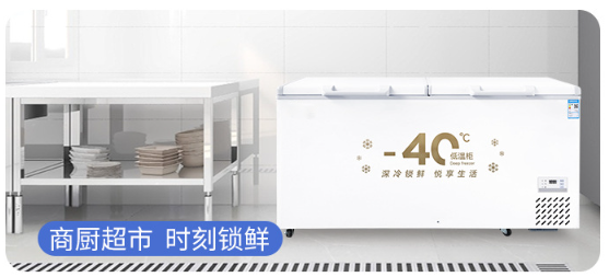 Original factory of in-stock freezers, commercial freezers, large-capacity single-temperature commercial refrigeration and preservation horizontal refrigerators pic 14