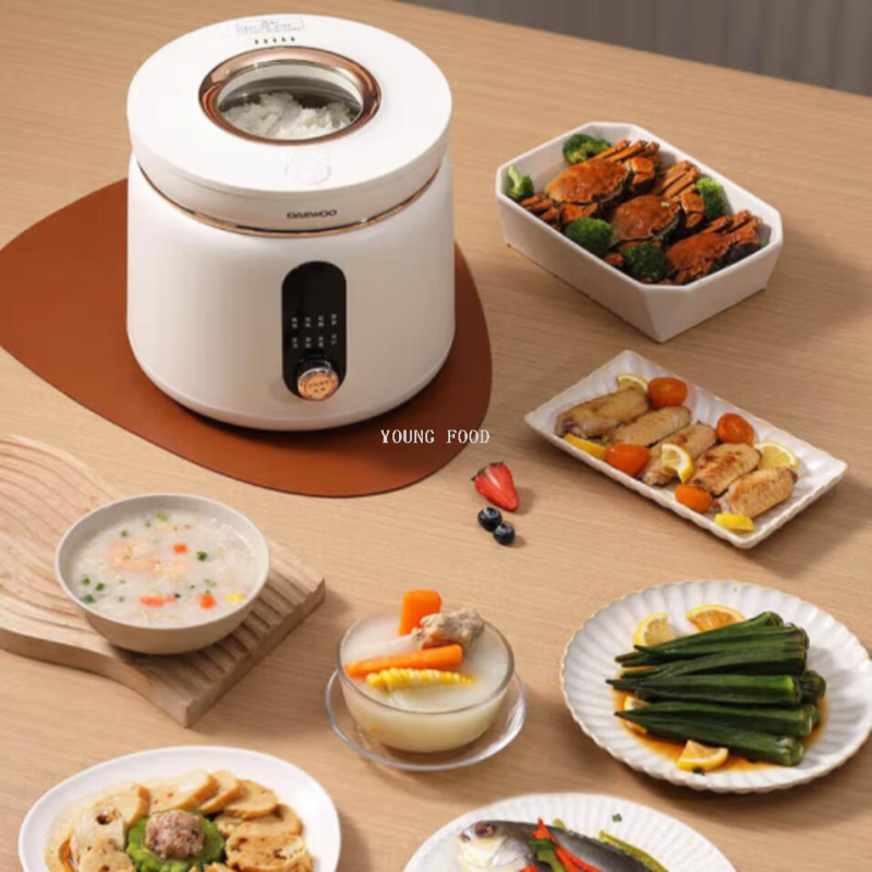 批发包邮！大宇DAEWOO多功能迷你可视天窗DYFB-D240智能电饭煲 2L细节图