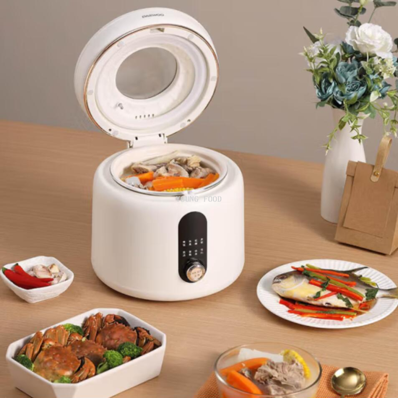 批发包邮！大宇DAEWOO多功能迷你可视天窗DYFB-D240智能电饭煲 2L白底实物图