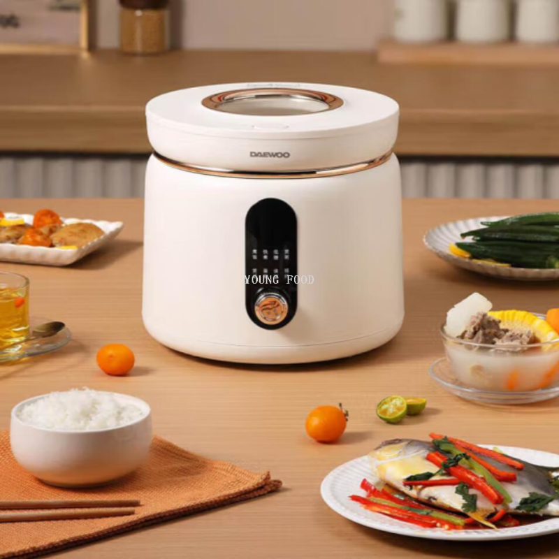 批发包邮！大宇DAEWOO多功能迷你可视天窗DYFB-D240智能电饭煲 2L产品图