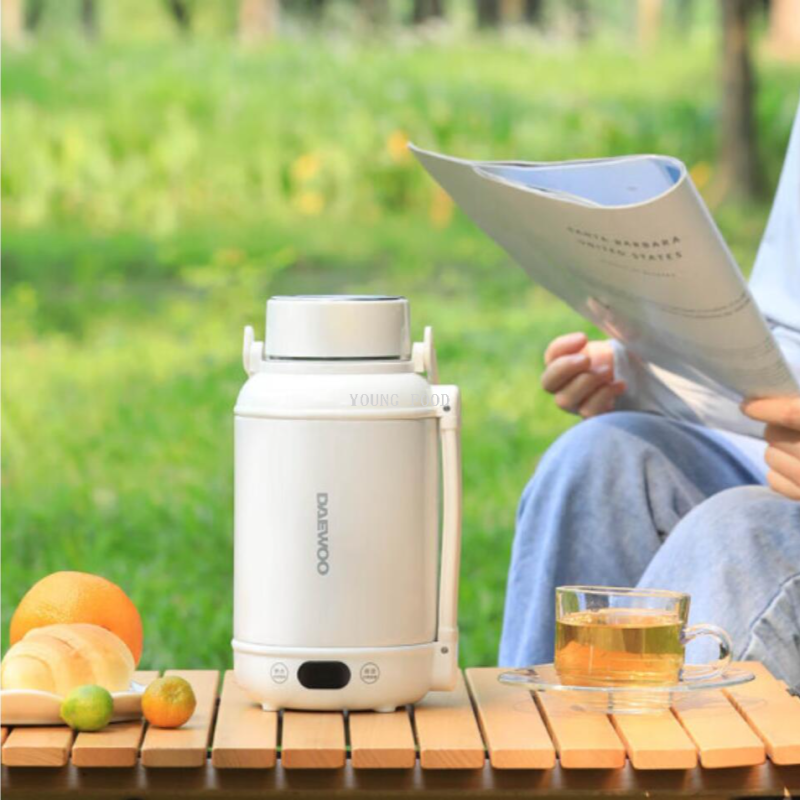 Free shipping for wholesale! DAEWOO Portable Mini Boiling Water travel Tea-making Electric Water Cup DYSH-BX12 Application Scenario