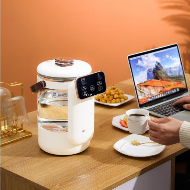 Free shipping for wholesale! DAEWOO 2.5L Multi-stage temperature-controlled milk boiling water bottle DYSP-25F01 Item Picture