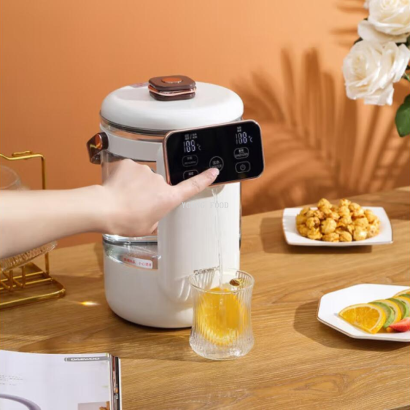 Free shipping for wholesale! DAEWOO 2.5L Multi-stage temperature-controlled milk boiling water bottle DYSP-25F01 details Picture
