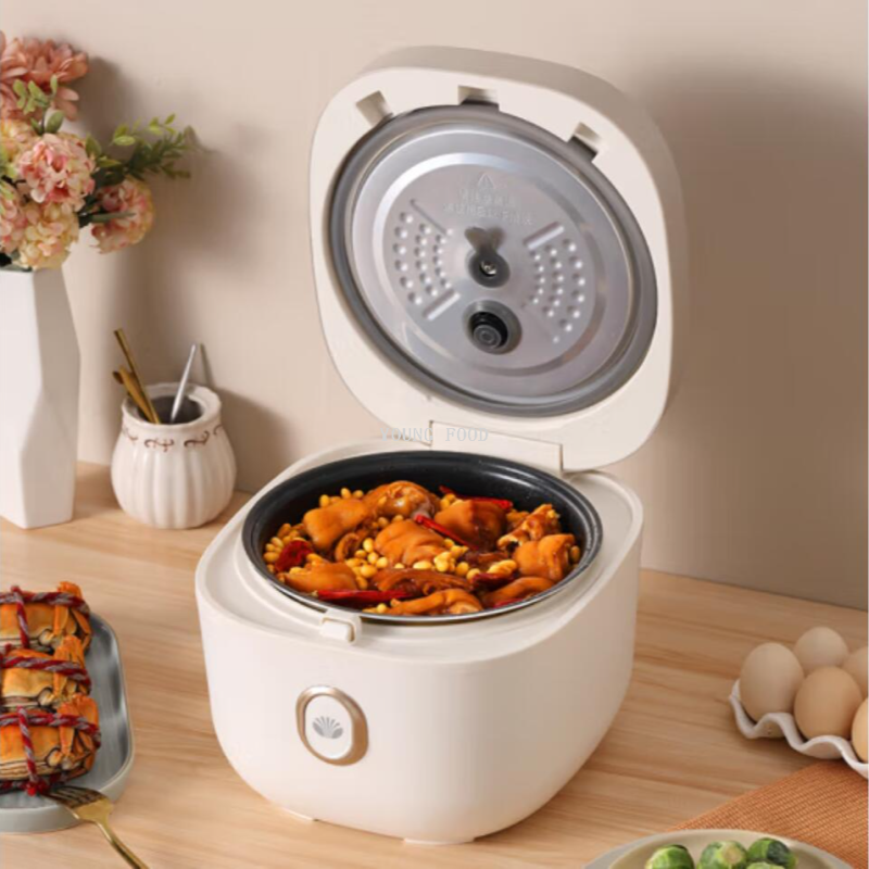 批发包邮！大宇DAEWOO智能电饭煲家用4L 多功能煮粥煲汤DYFB-424F细节图