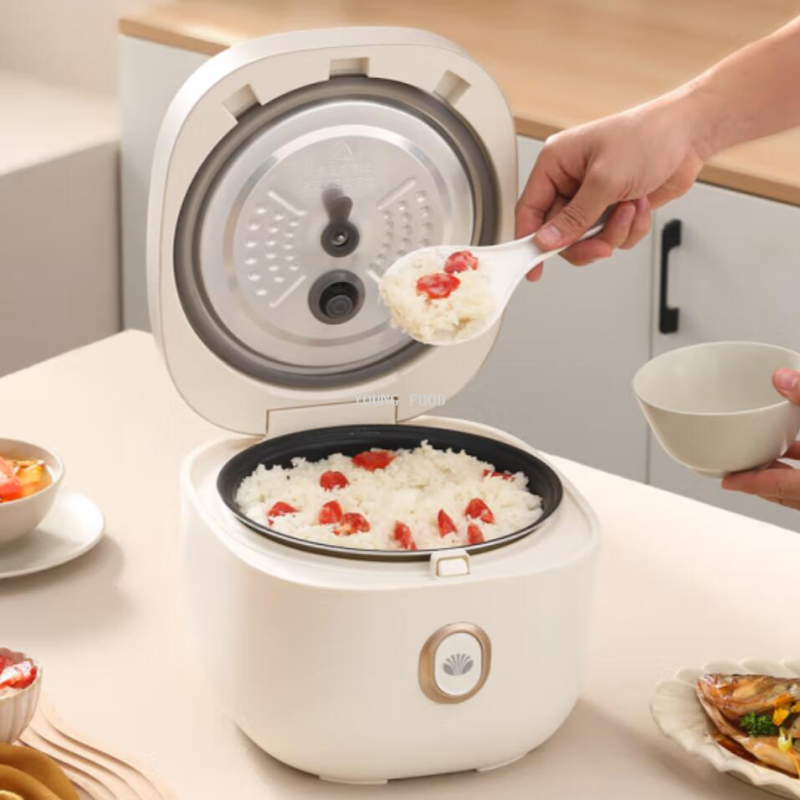 批发包邮！大宇DAEWOO多功能智能预约3L家用汤粥煮饭锅DYFB-E360产品图