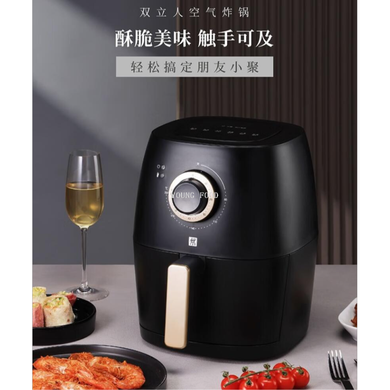 家用电炸锅实物图