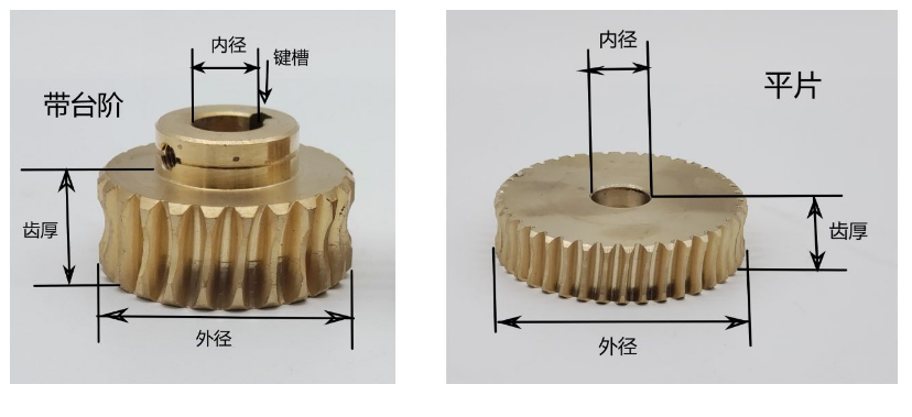 Youdaoplaceholder0 copper worm gear and worm mechanical metal transmission copper turbine reducer worm gear parts professional manufacturer processing and customization details Picture