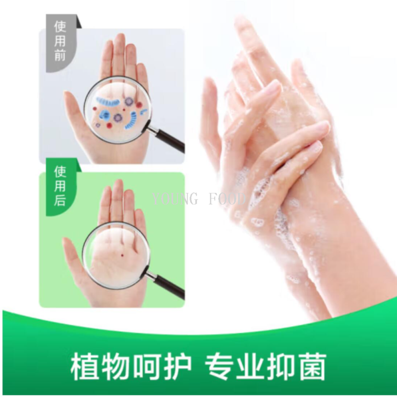 Group purchase wholesale with free shipping! Dettol Health Antibacterial Handwashing Plant Care Hand Sanitizer (450+450) ml details Picture