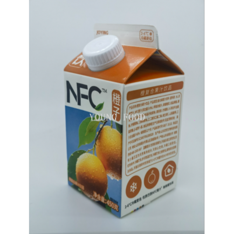 包邮批发休闲食品零食水果汁饮料饮品初饮新鲜屋100%芒果汁450g详情图4