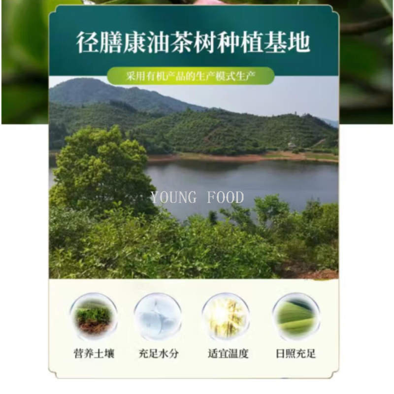 包邮批发径膳康有机茶油2000ml茶籽油植物油食用炒菜油月子油初榨细节图