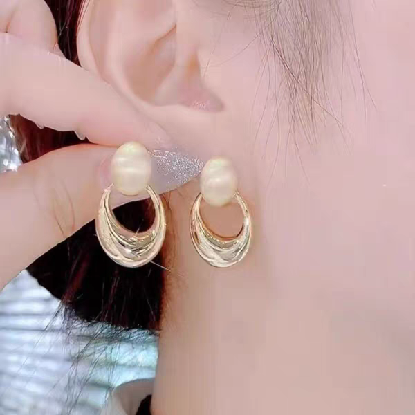 2025 New bestsellers, high-end and elegant earrings, silver needle earrings, super popular women's light luxury fashion, unique and beautiful stud earrings, 109 accessories, stud earrings detail image 2