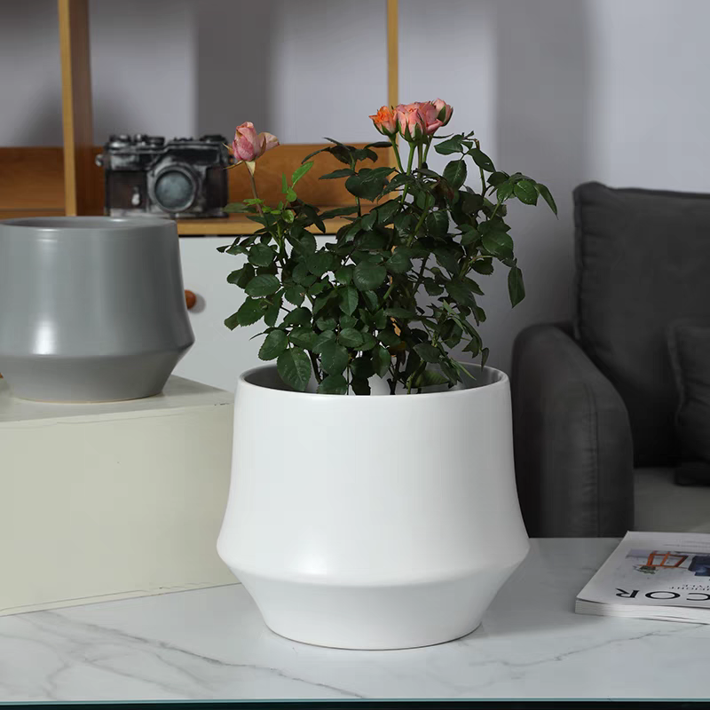 Garden flower POTS, plastic and ceramic flower POTS, various vases and flower POTS, plastic G size washbasins, home decoration detail image 3