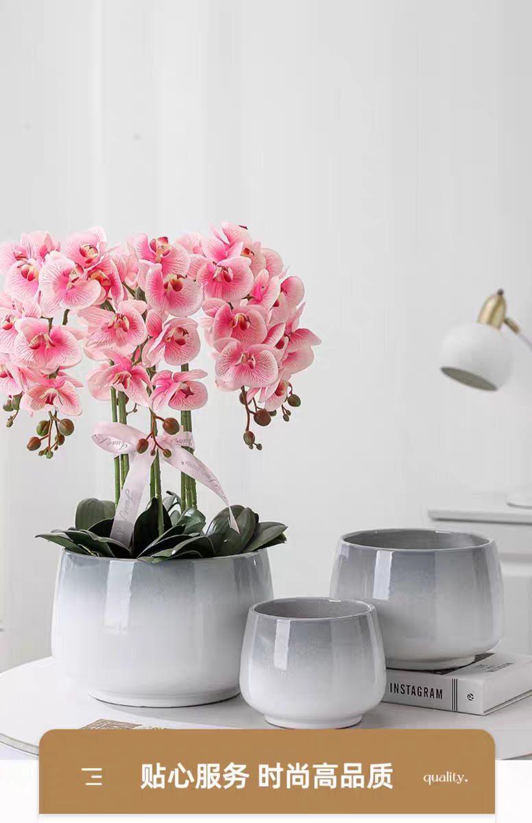 A variety of garden flower POTS and ceramic containers are available for selection, suitable for flower POTS, potted plants, washbasins, and multi-purpose home decoration detail image 2