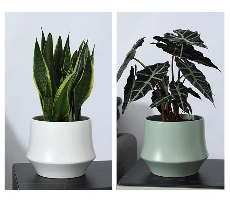 Garden flower POTS, plastic and ceramic flower POTS, various vases and flower POTS, plastic G size washbasins, home decoration detail image 6