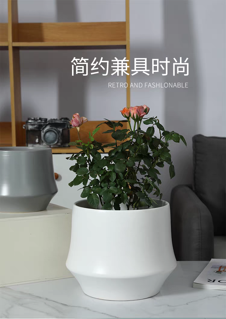 Garden flower POTS, plastic and ceramic flower POTS, various vases and flower POTS, plastic G size washbasins, home decoration detail image 5