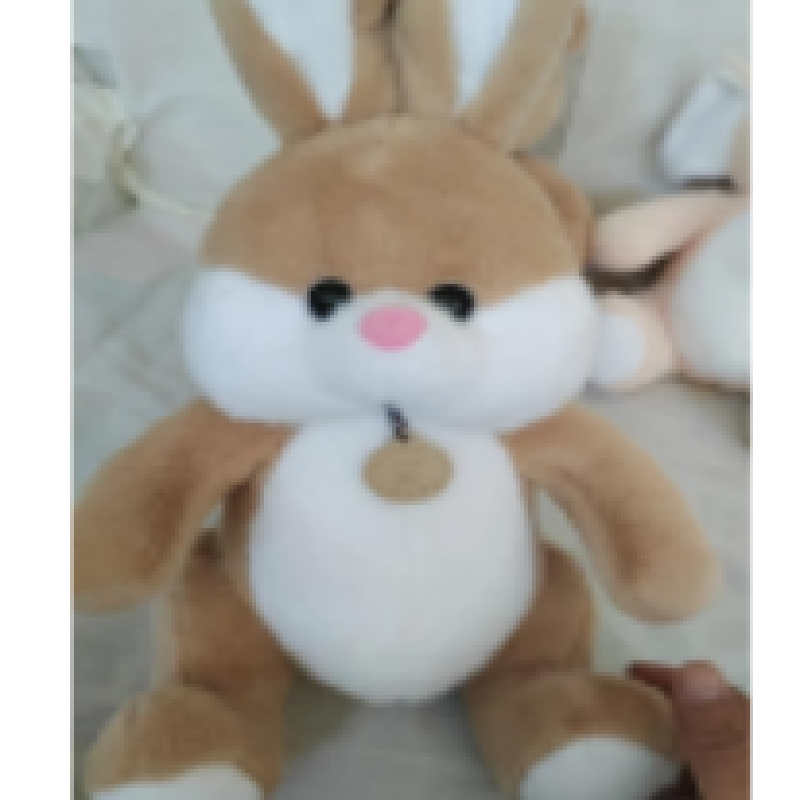 Daidai Tag Rabbit plush toy, cute pillow birthday gift, limited-time promotion Specification image