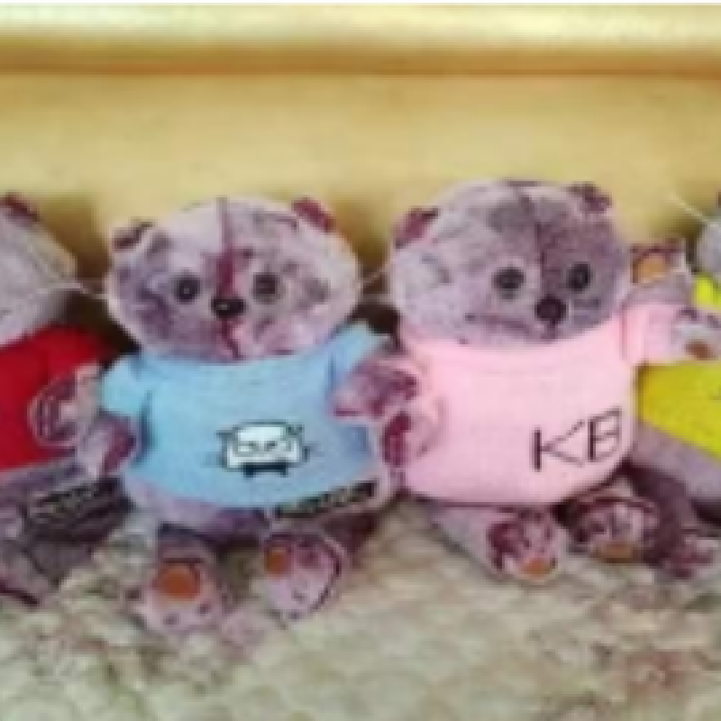 Pinyou plush toys, figurines and dolls are so cute that children all love Brazilian cats Specification image