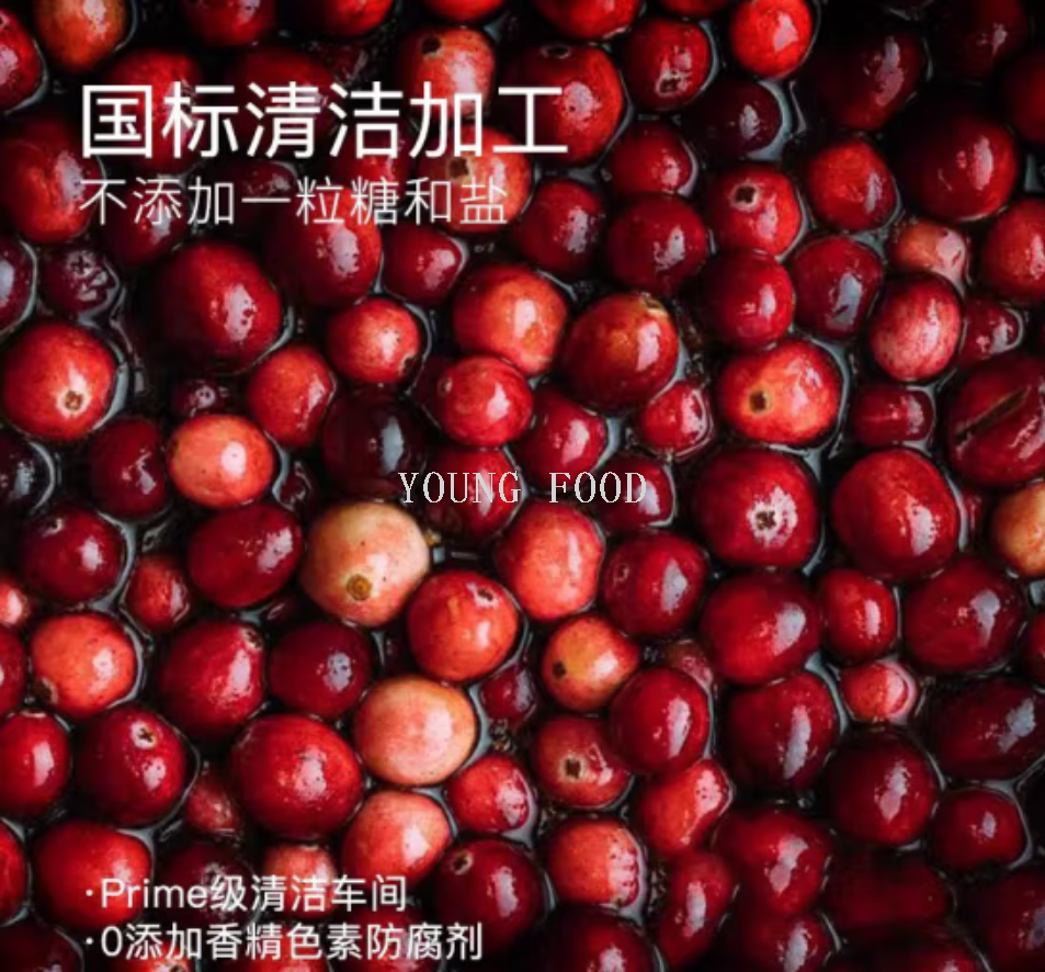 批发包邮100%非蜜饯非糖盐腌制果干 金钻凤梨干100克 水果干零食详情10