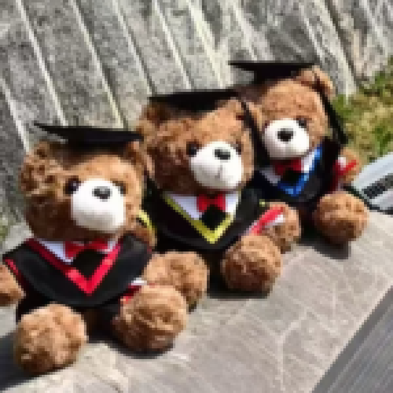 Children all like the plush toy, the teddy bear, which has a high level of appearance