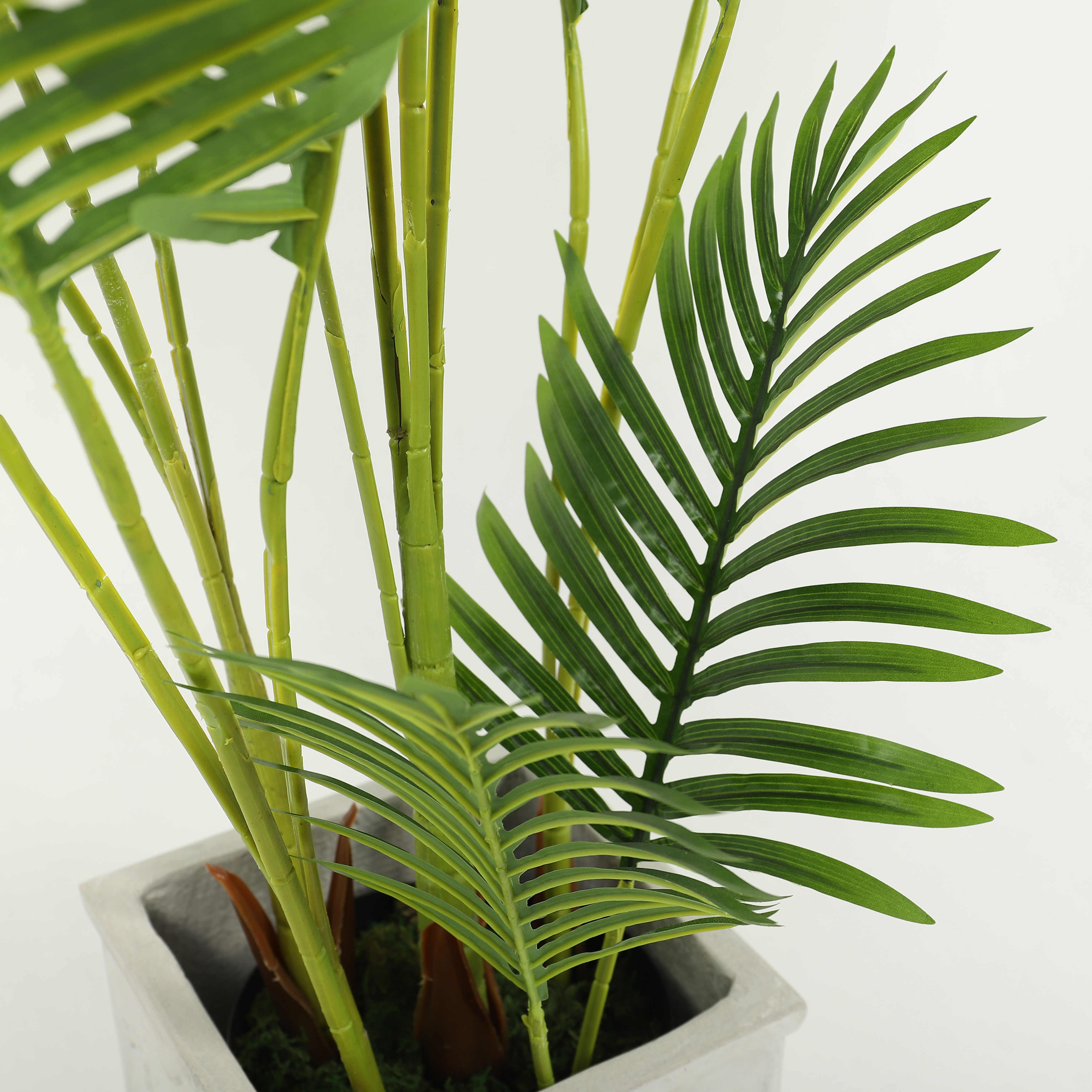 仿真植物实物图