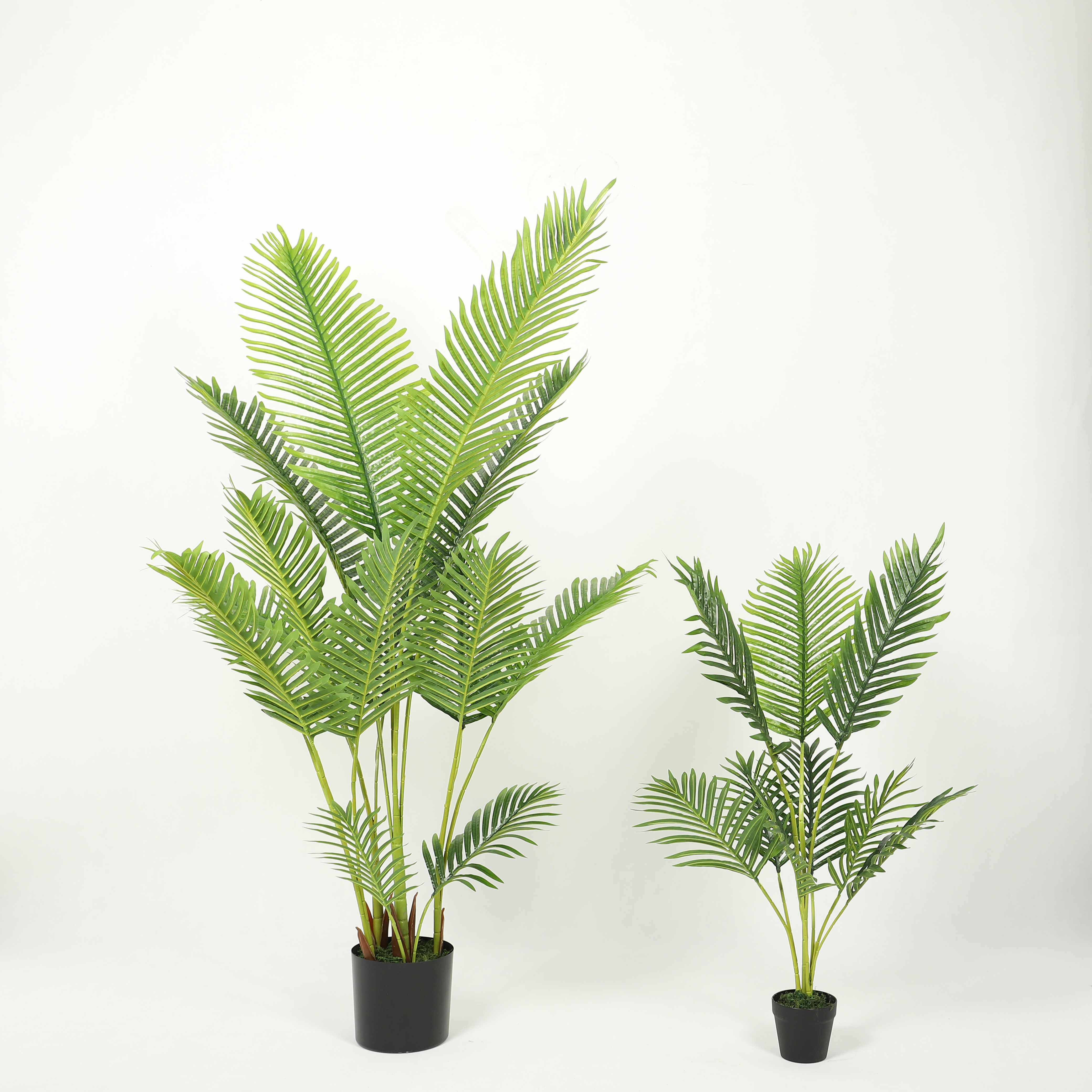 仿蘆葦植物/仿真剑兰/蝴蝶兰仿真花/丝状苔藓/蔷薇花藤条细节图