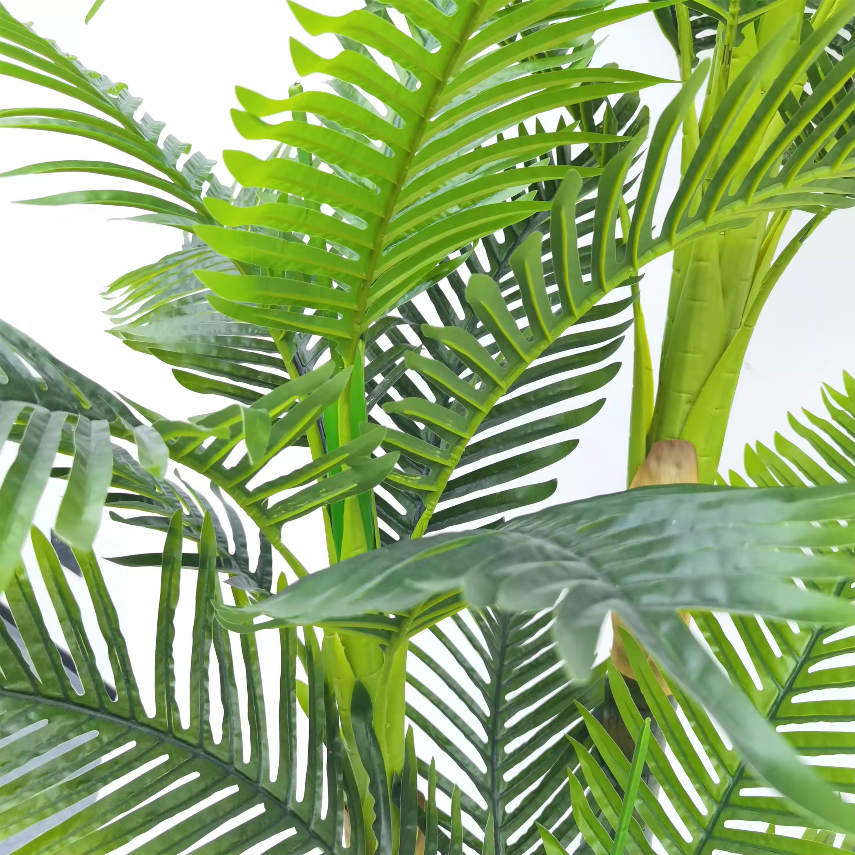 仿蘆葦植物/仿真剑兰/蝴蝶兰仿真花/丝状苔藓/蔷薇花藤条白底实物图