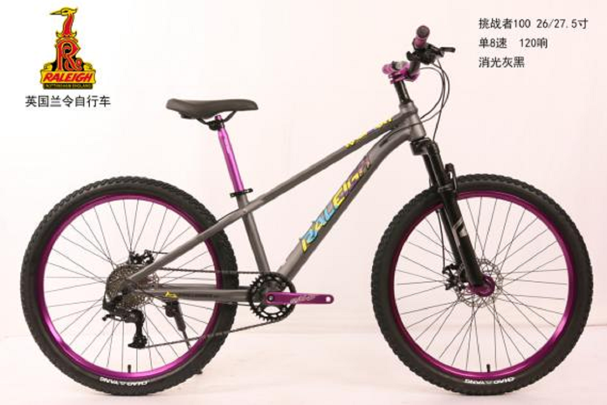 CH100 ，山地自行车 RALEIGH 高碳钢车架 L-TWOO，1*8速