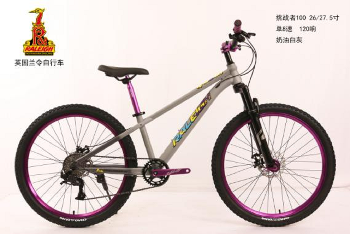 CH100 ，山地自行车 RALEIGH 高碳钢车架 L-TWOO，1*8速详情2