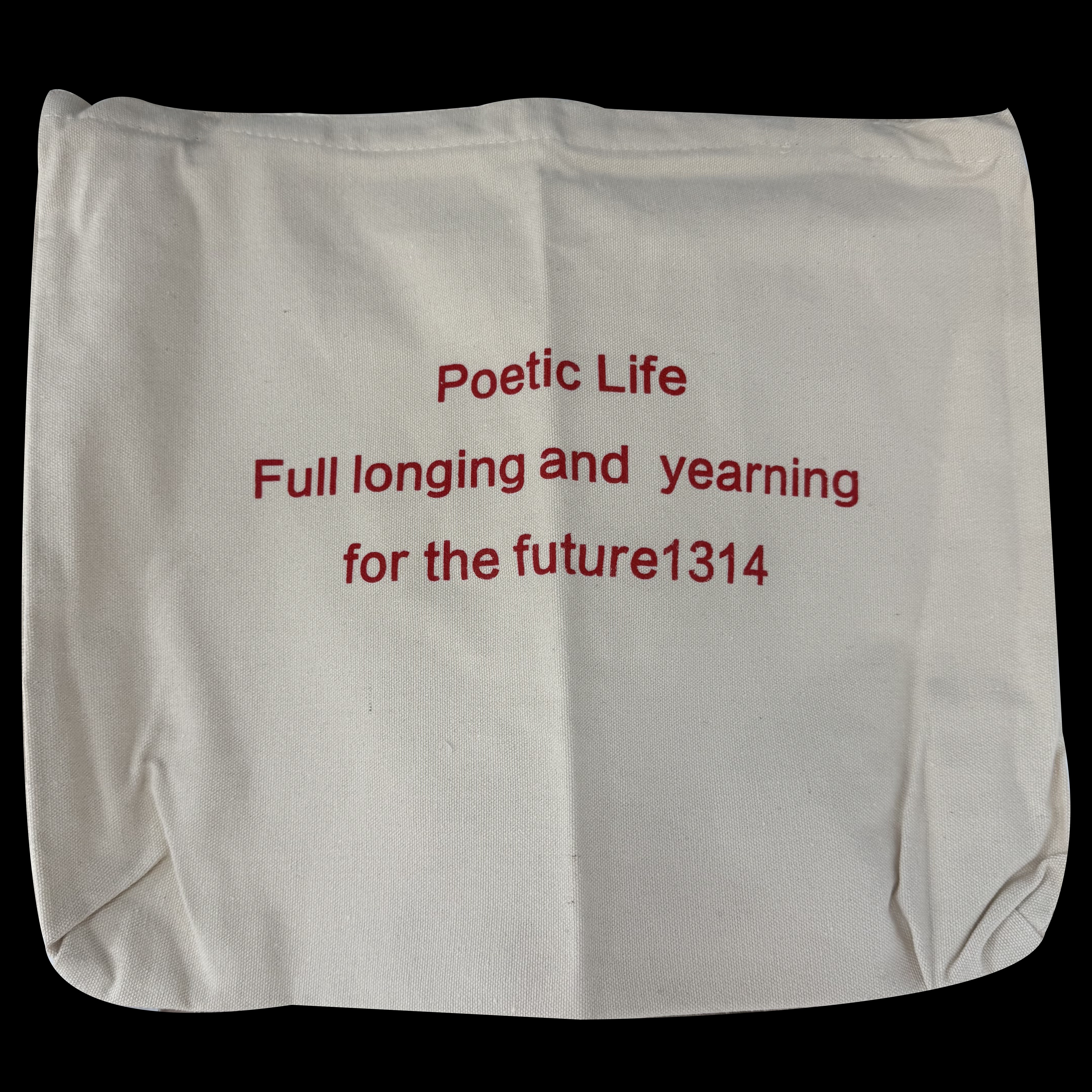 帆布袋设计定制高级感广告宣传印品牌logo环保购物收纳帆布包订制8