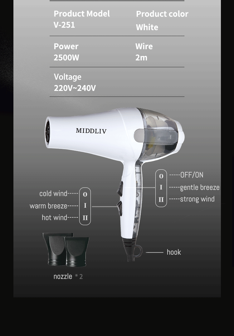 MIDDLIV大风力速干恒温护发造型发廊专用电吹风 V-251详情3